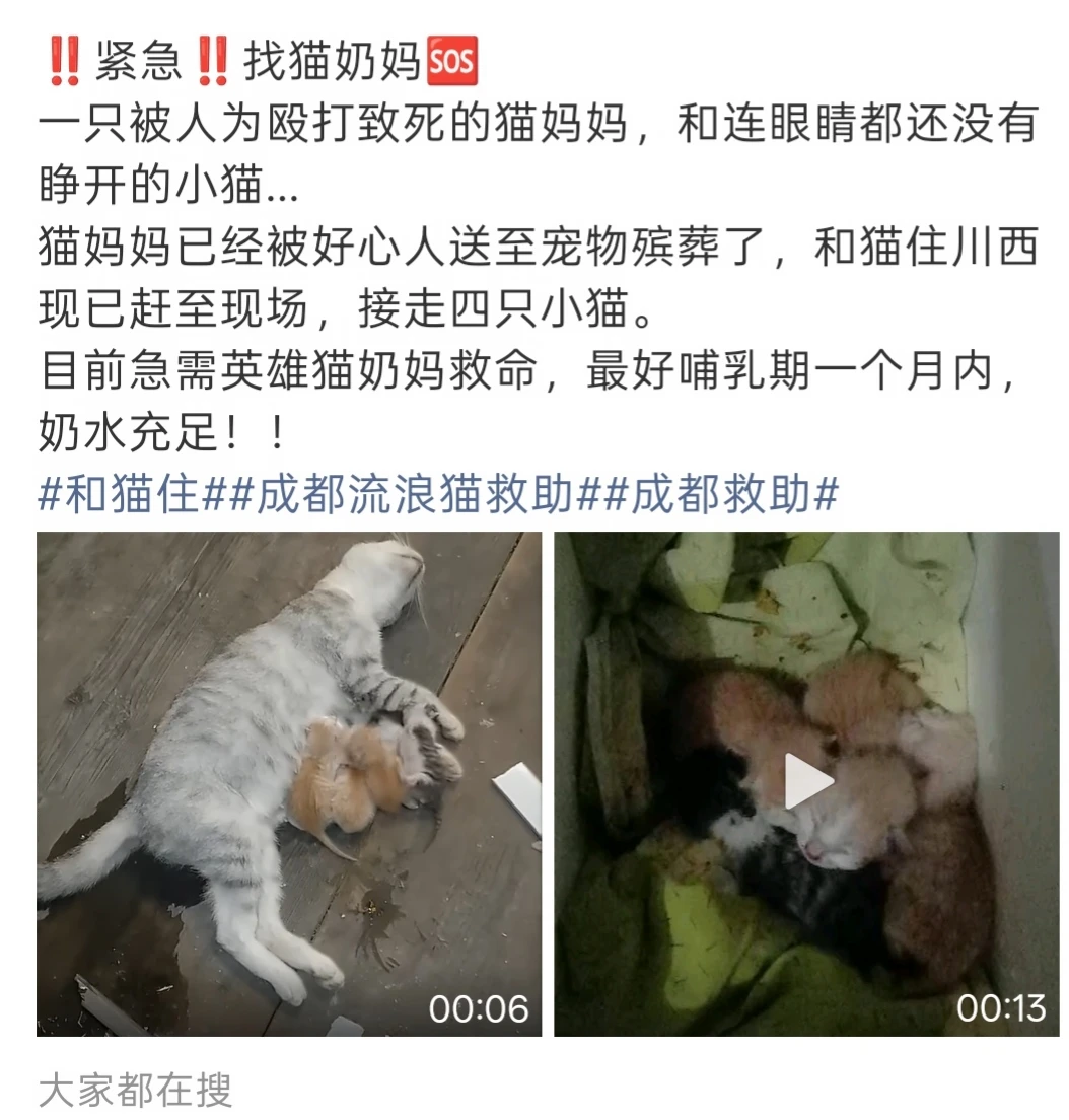 紧急