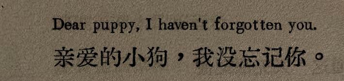 “救命，好喜欢这句”亲爱的小狗，我没忘记你。Dear puppy, I have