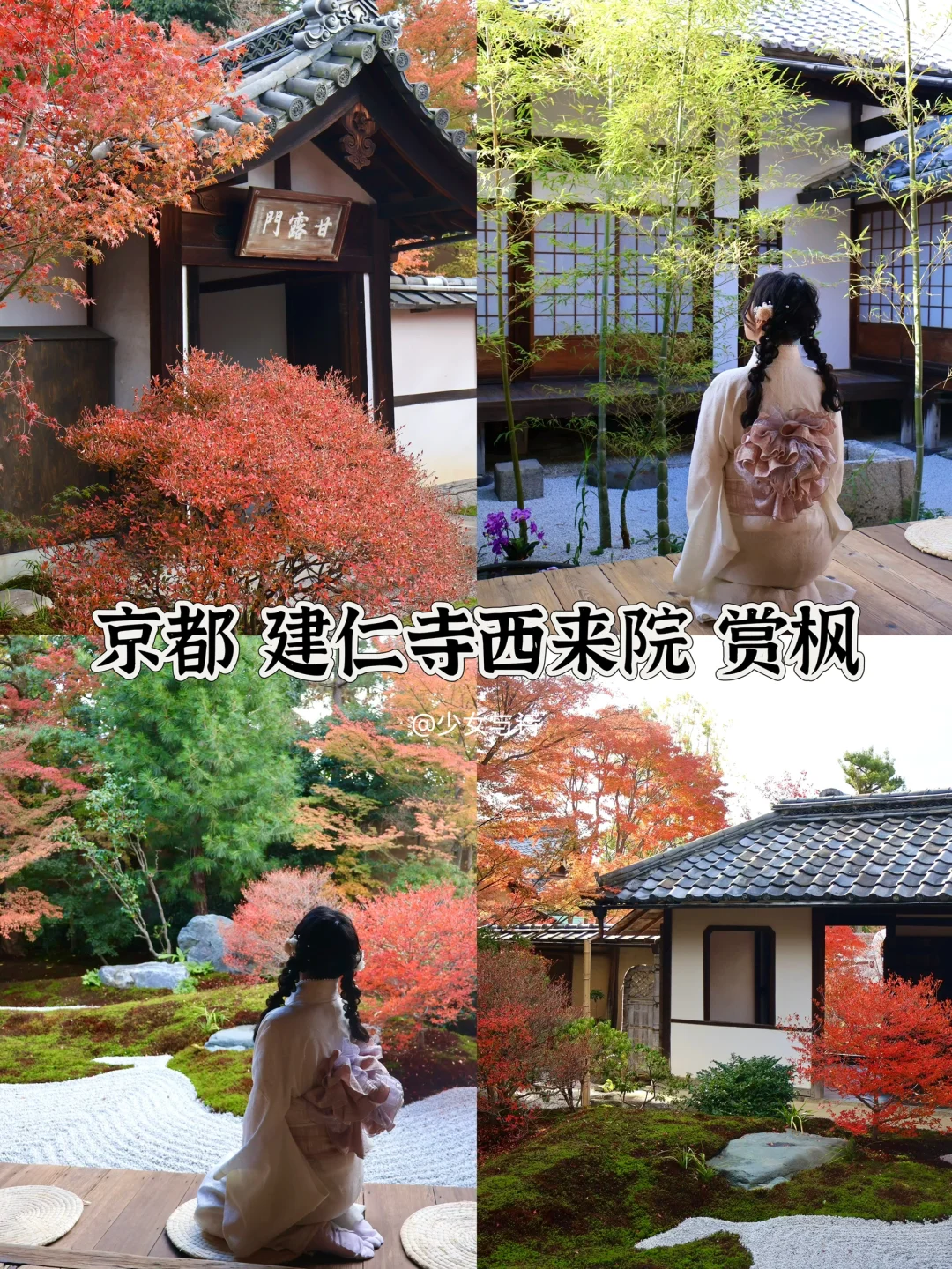 京都丨建仁寺西来院，人少景美不踩雷❗冲鸭❗