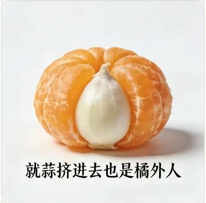 属性不同，本质各异，就算贴进去也是局外人。圈子不同，不必强融。热脸贴冷屁股，往往