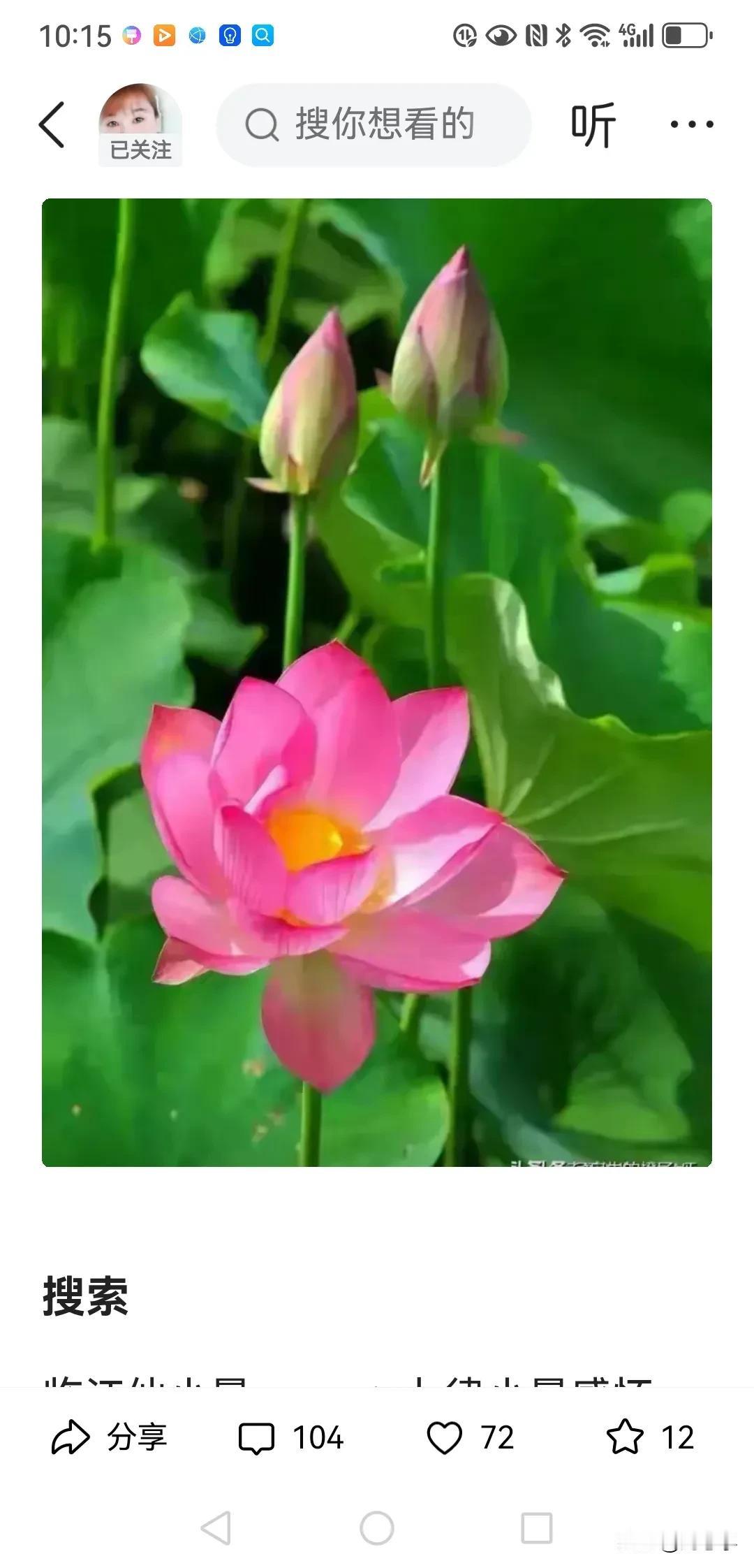 首发原创/刘忠学
七律：鲜花一朵
绿色王国水中央，圆圆翠盘波中荡。
风吹碧波送惊