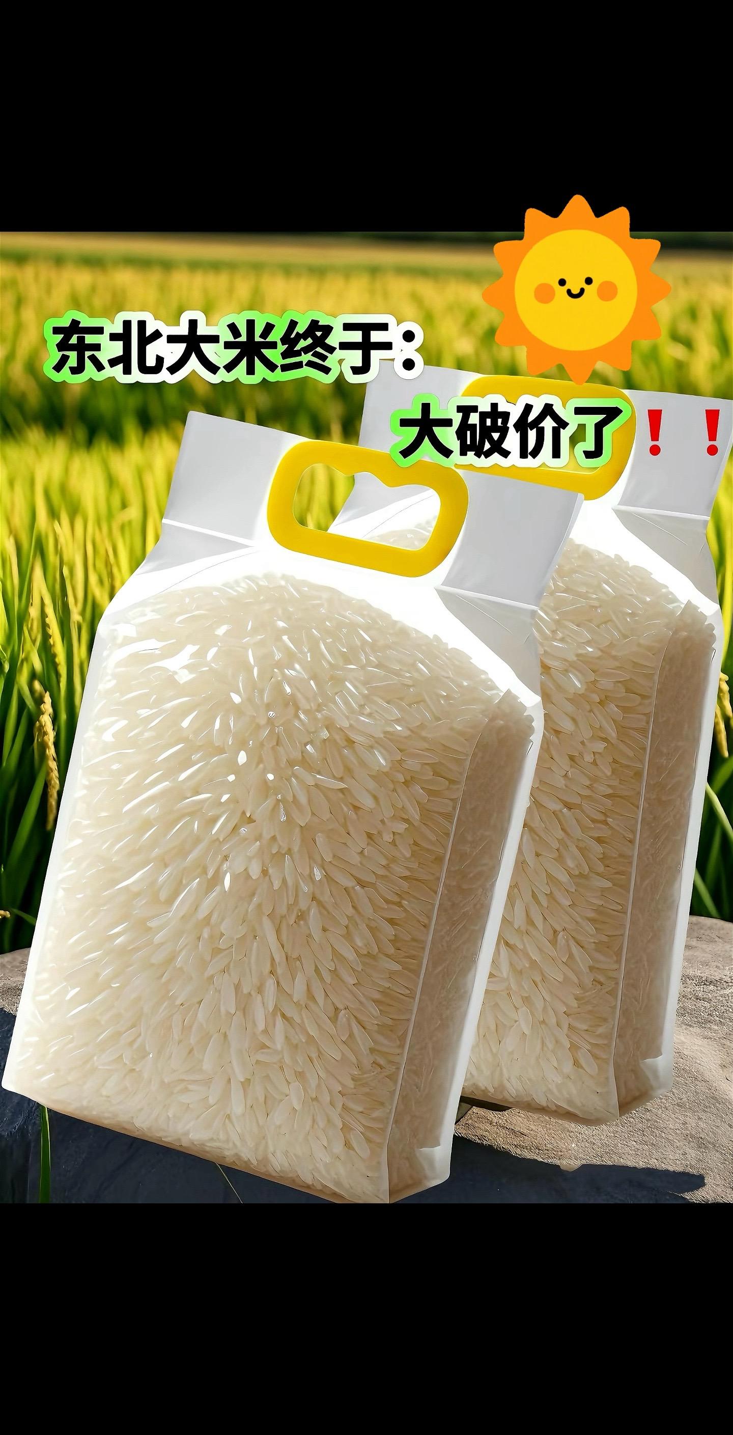 舌尖上的东北，这米绝了！ 东北大米，源自那片肥沃的黑土地。寒地黑土，历...