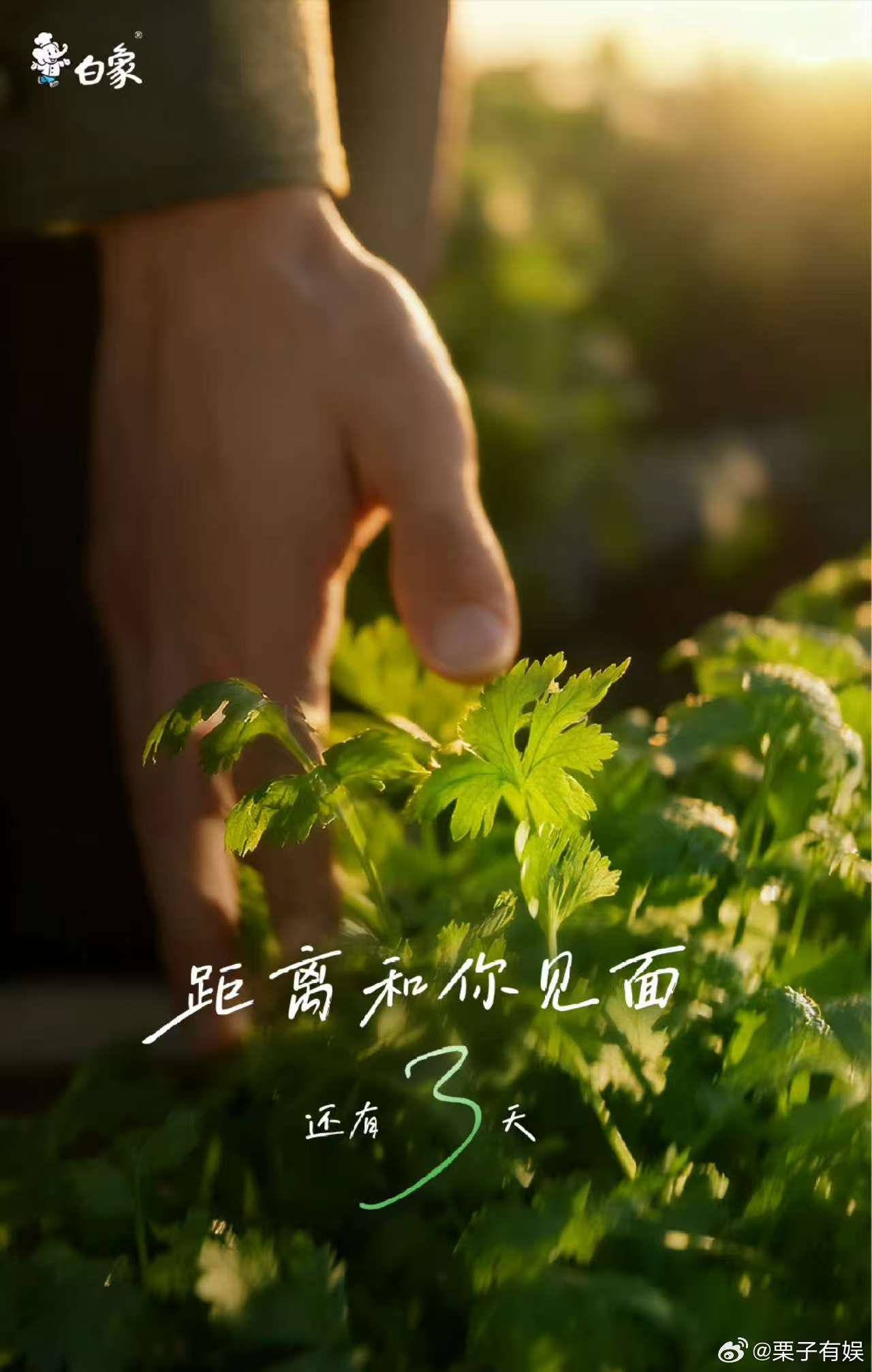 王一博手指特写王一博实现香菜自由王一博手指特写，香菜自由，[抓狂][抓狂] ​​