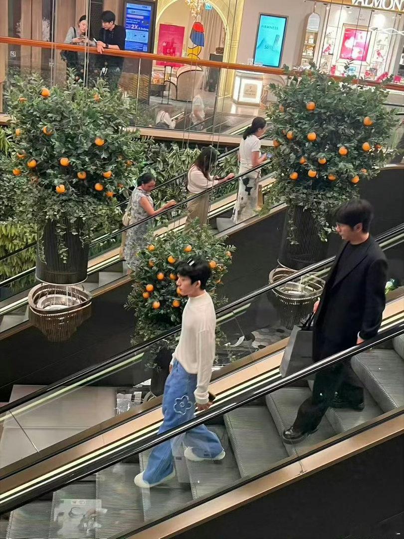 香港中环偶遇井柏然谁在香港中环碰到井柏然啦！井宝看到我们认出来，热情挥手回应，本