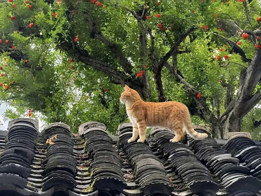 认真对待每一天，不慌不忙，自在前行。 