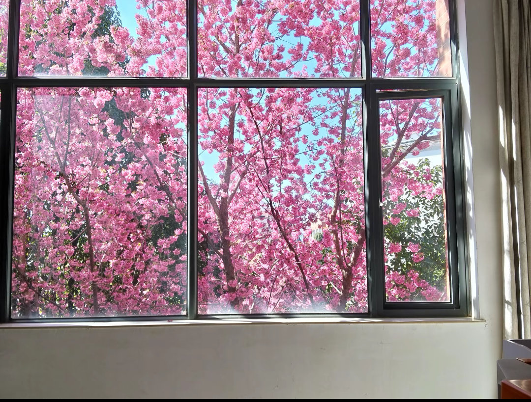 云南民族大学，教室窗外的风景，真的很美 