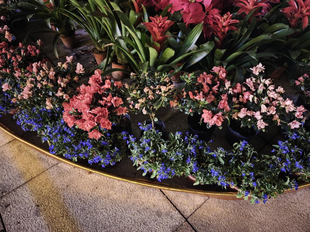 有些男性的渣与没责任，是从基因里继承来的。

大冰的一个连线切片，一个01年的男