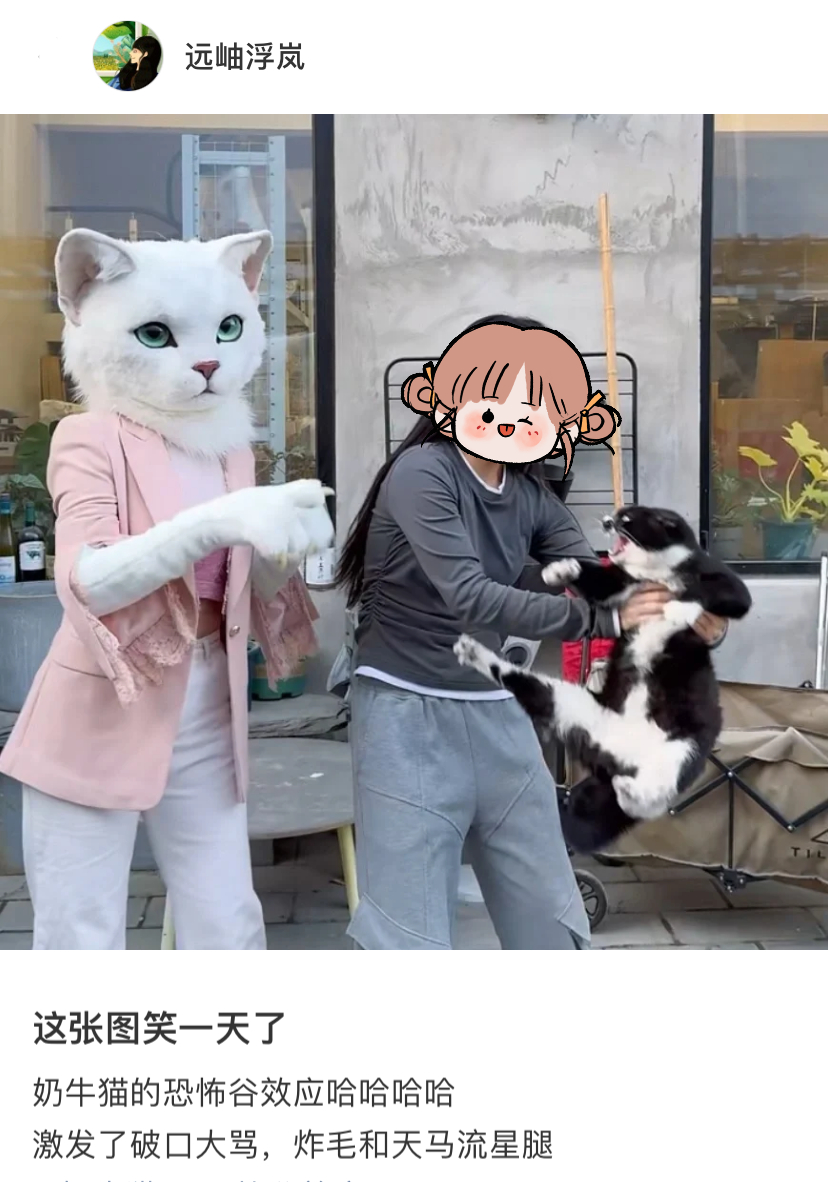 当奶牛猫遇到猫界恐怖谷效应猫：似猫非猫的生物，拱啊！！！！ ​​​