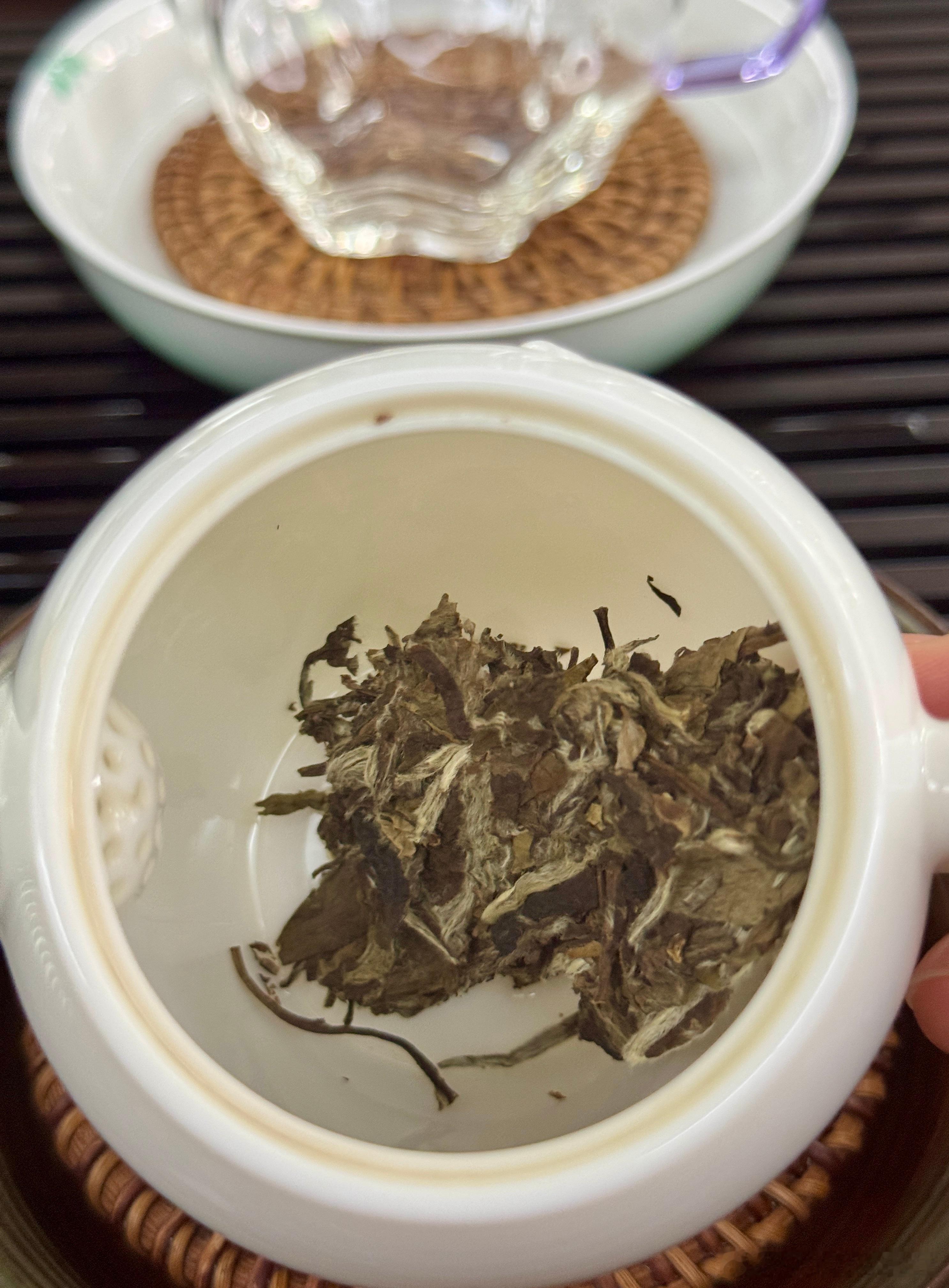 茶哥录完视频就回去了，本来说躺一下，又来人喝茶了，没辙。。。怎么一夜之间感冒的人