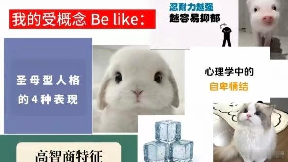 15918我的受概念be like 