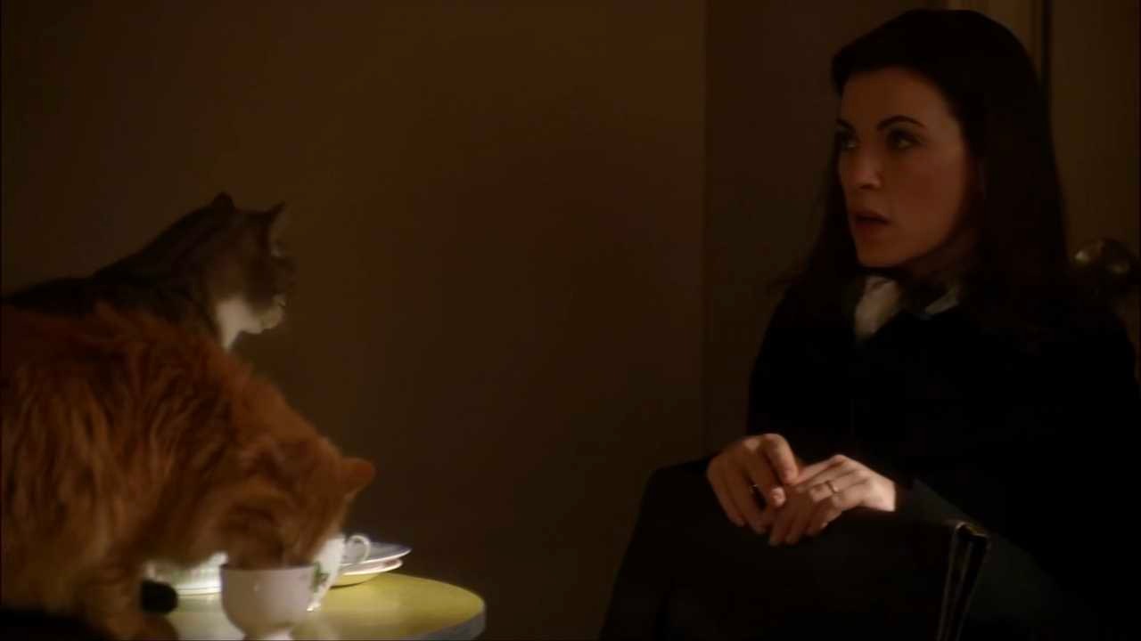 23871【tgw】這裡有三隻小貓很萌🥺每日一Alicia Florrick