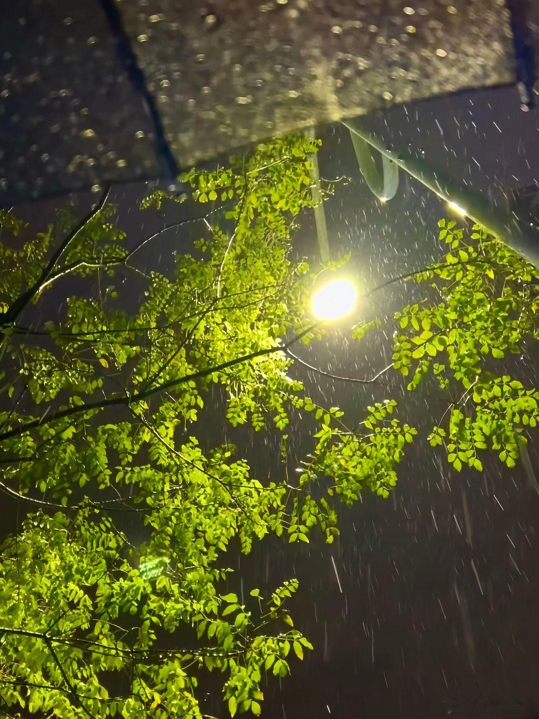 讲永远太假，其实风一吹什么都不剩了… 