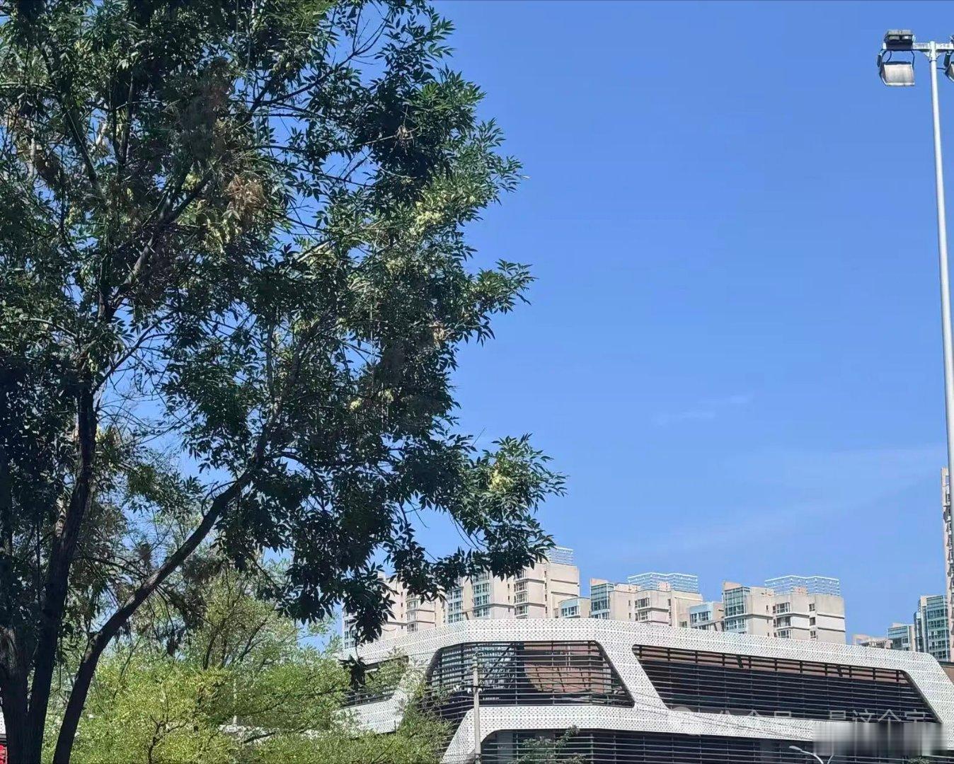 这世界上永远有两种人一种如荒火，停留处寸草不生，自衰衰人，自毁毁他。一种如瑞兽，