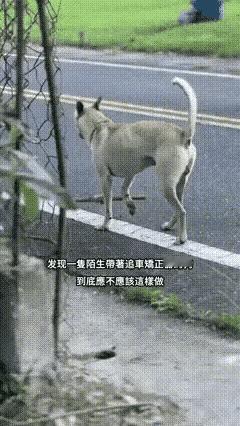 不得不说，
能想这个的，
都是聪明的人。