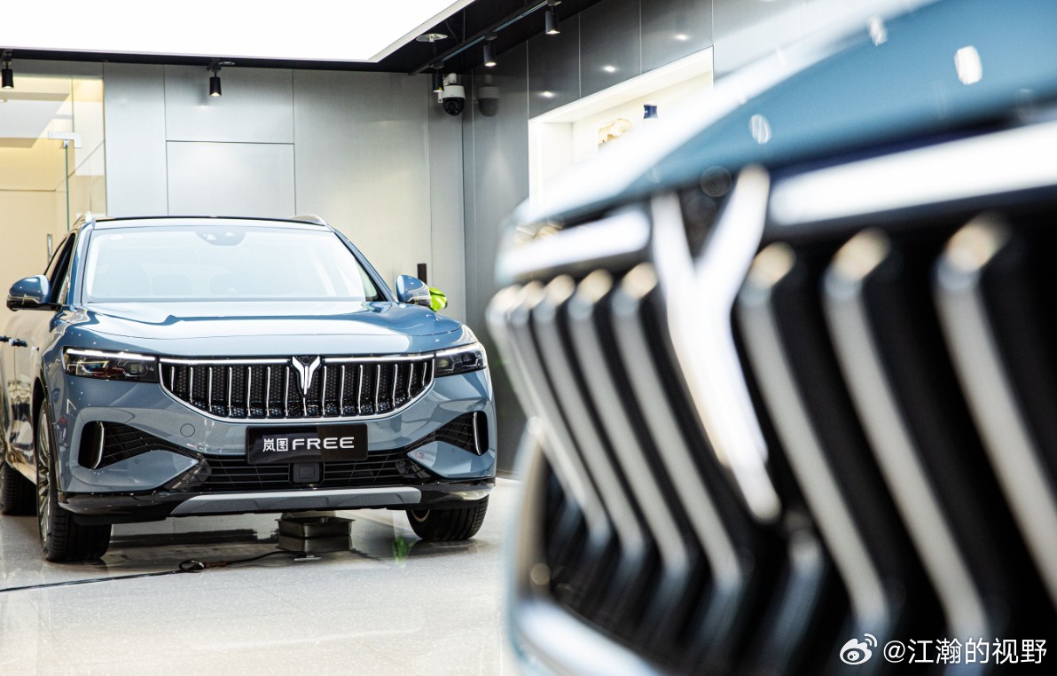 股价的短期波动不改变基本面，岚图的长期价值如何分析？3月19日，岚图汽车正式登陆