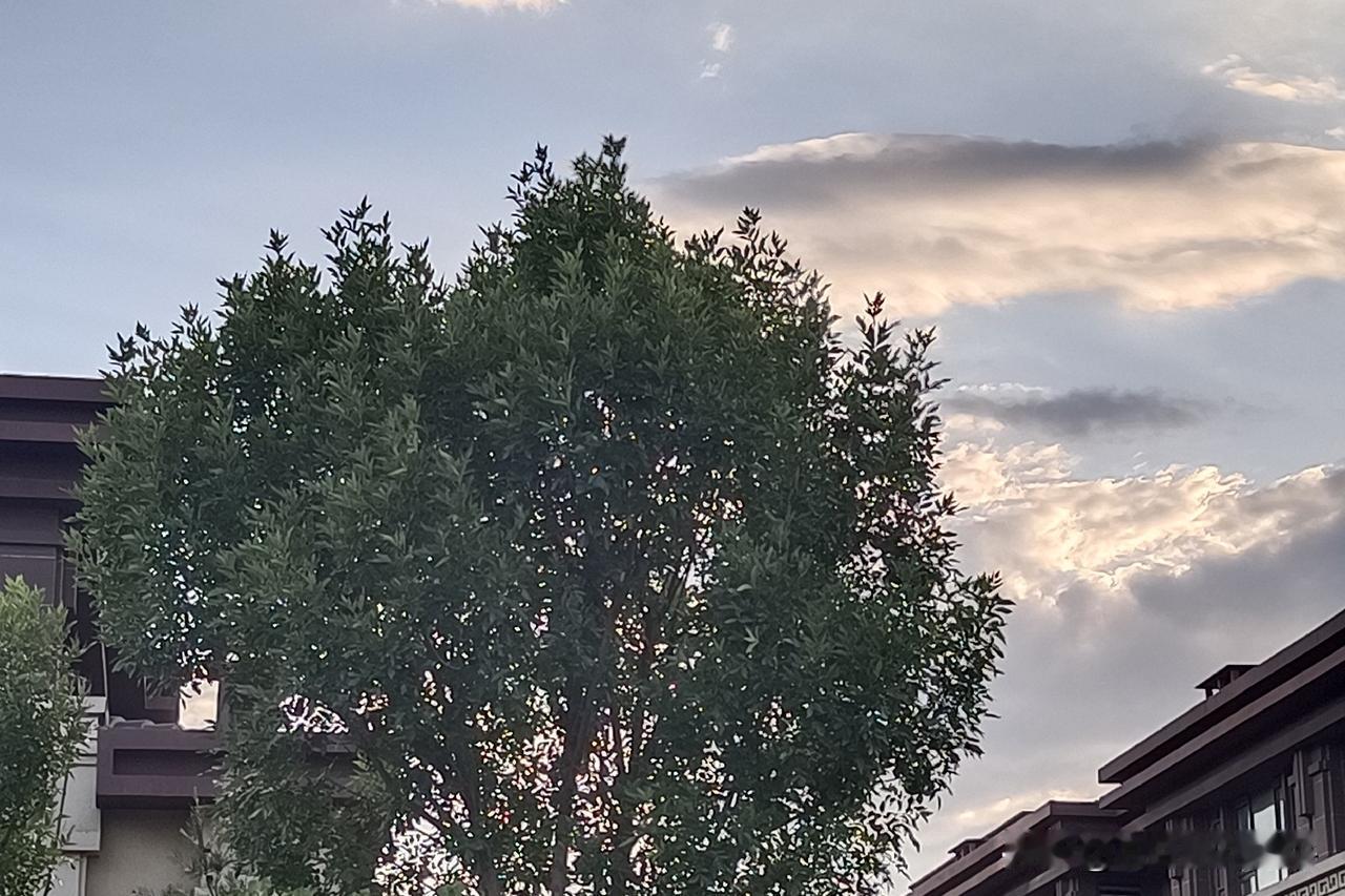 谁能让我们过上好日子，谁就是我们心中的伟人，东方红太阳升。