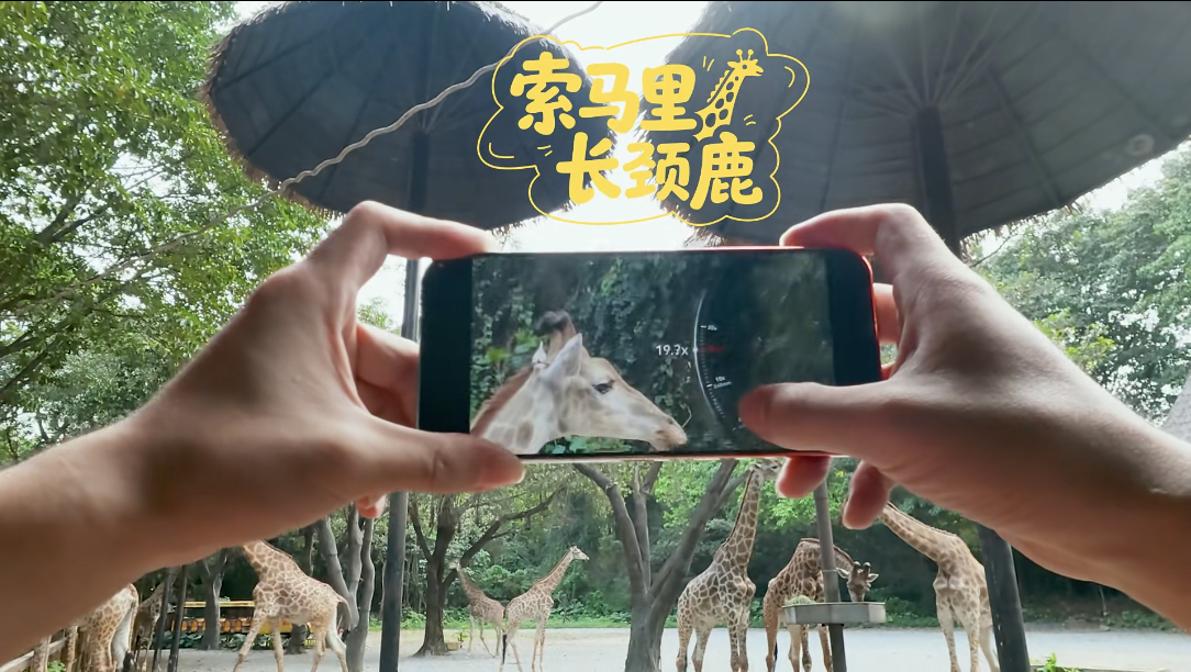 华为Pura90ProMax搭载2亿像素长焦蹲一波华为Pura 90的长焦实测！