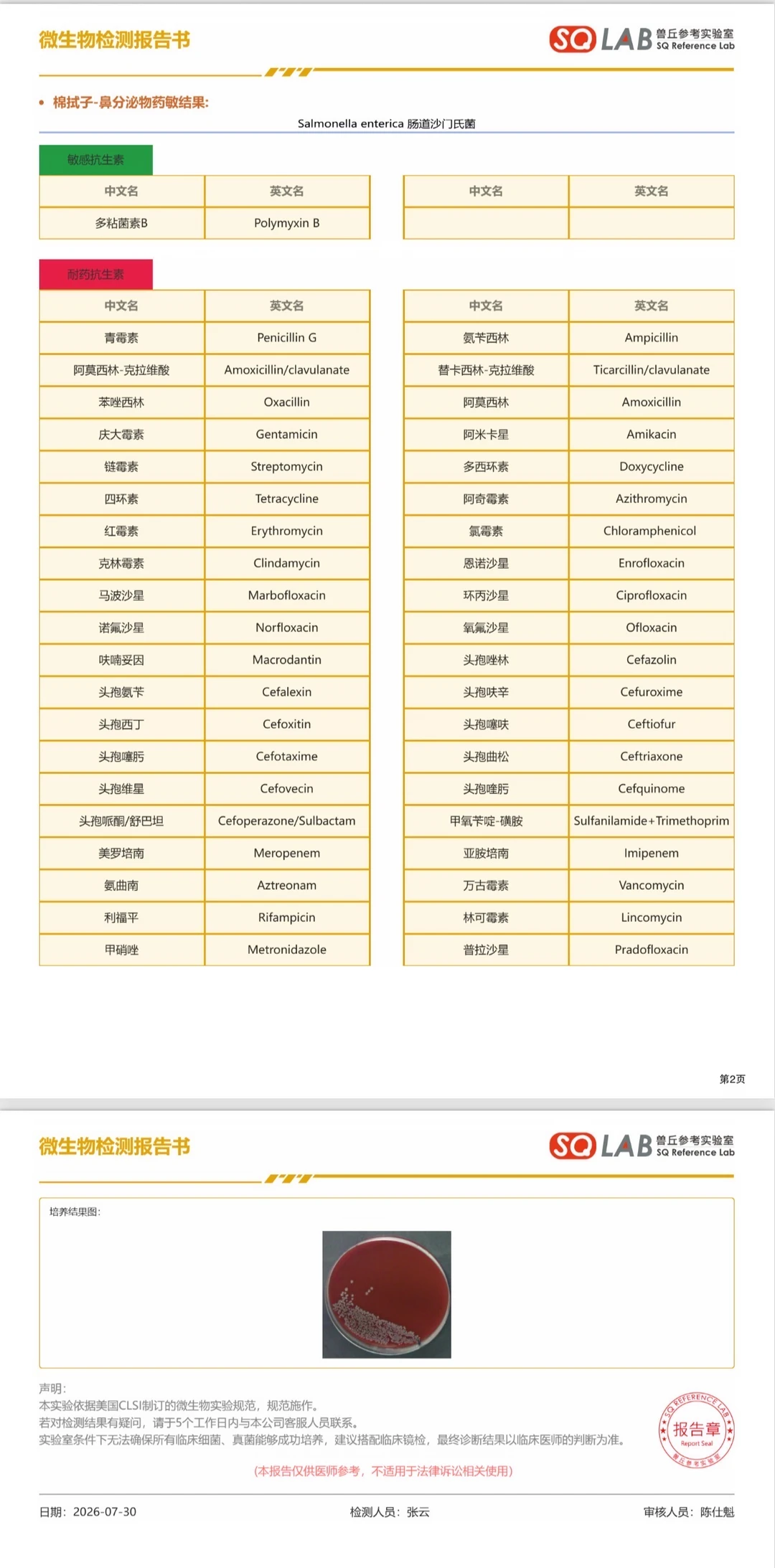 鼓室积脓的猫，也是遇到超级耐药菌了……