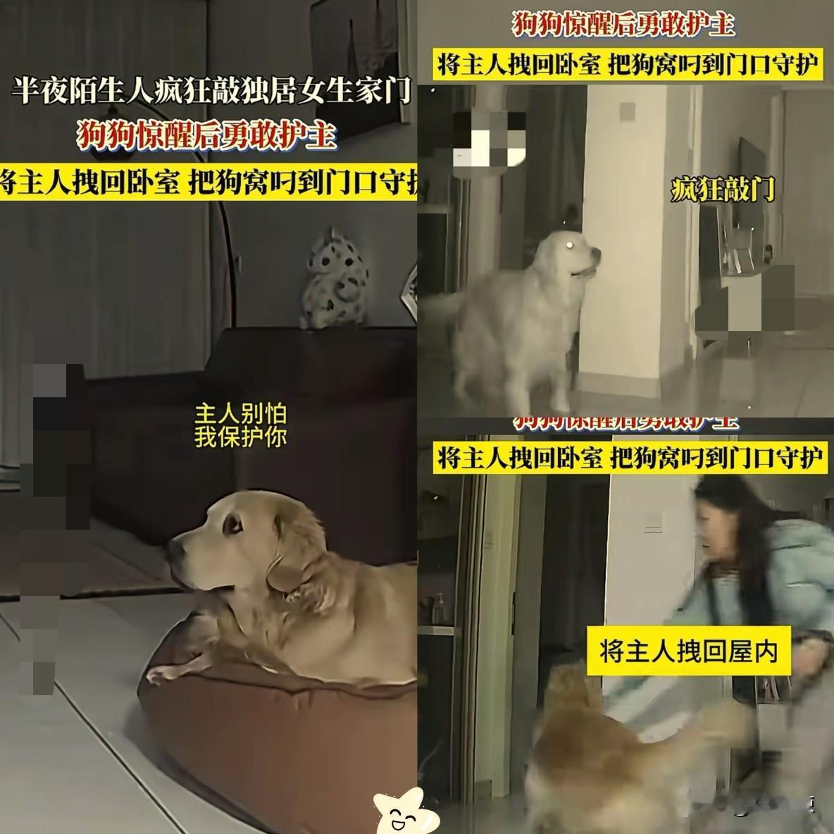 “太勇敢了！”吉林，一独居女子凌晨突然被急促砸门声惊醒，吓得她颤着腿走出卧室查看