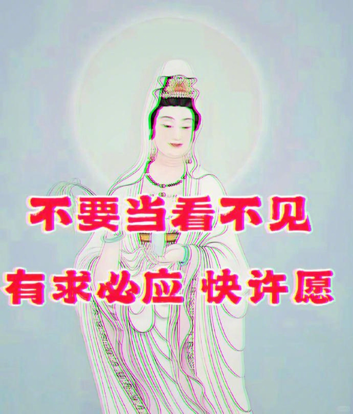 有求必应快许愿🙏​​​