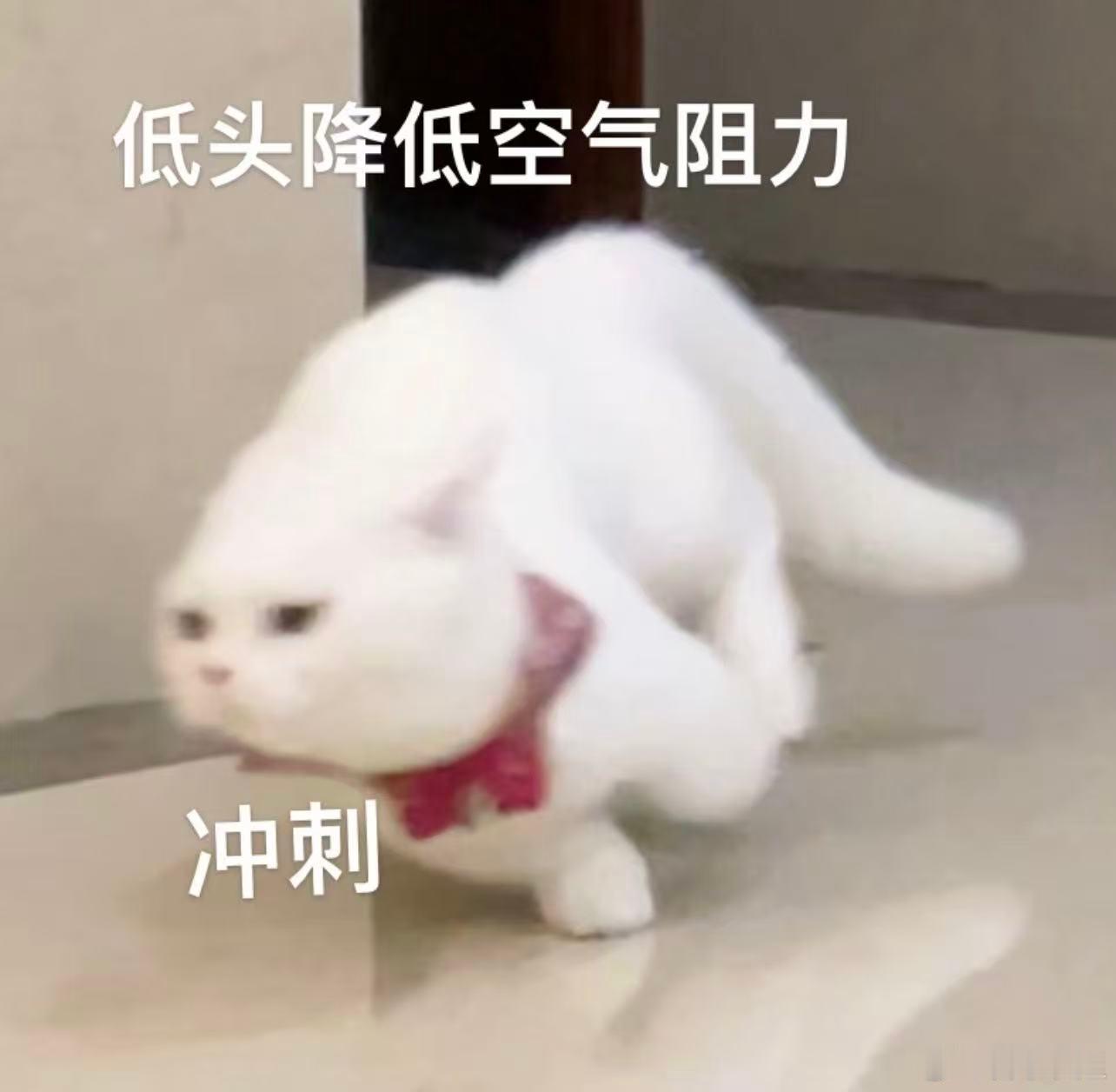 十二星座 哪怕是真的要面临关键考试，也不要轻易放弃学习，因为有些人很适合突击型学