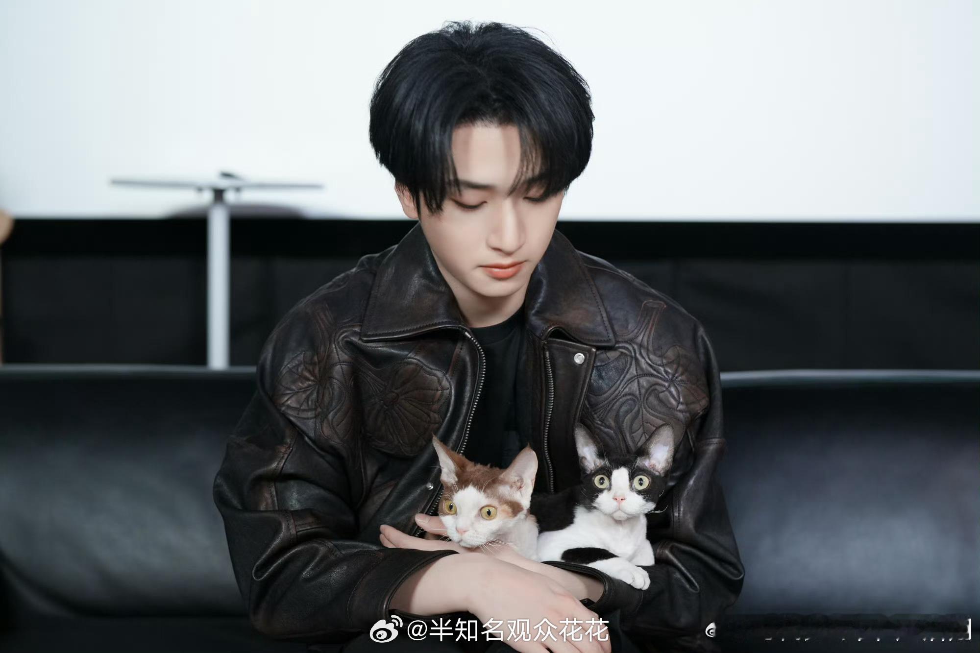 好可爱！！！🥰严浩翔抱猫好温柔严浩翔十三宫格晒猫