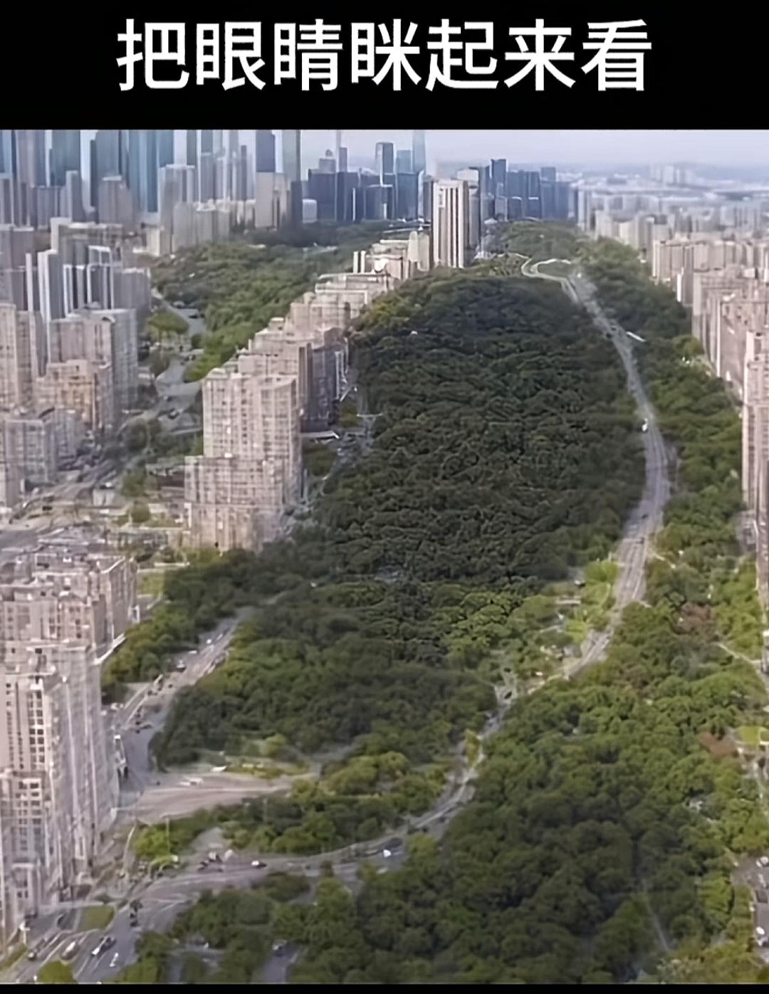 城市中间有个大绿洲，真养眼！你看到了什么？看看你的眼力如何？