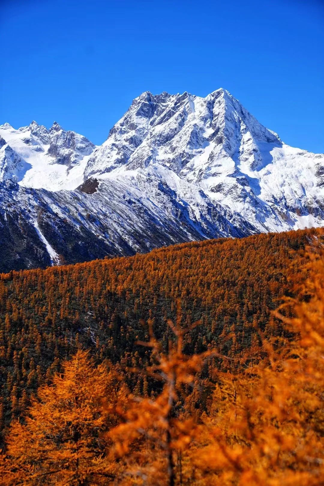 秋天徒步：梅里金山与普达措彩林的朝圣之旅