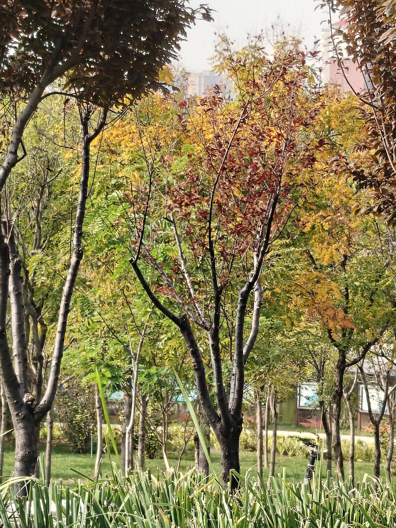 @豆包 帮我点评