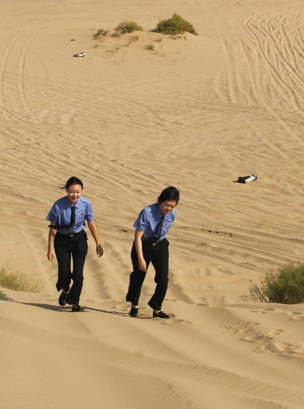 岱海湖边这阵子热火朝天，一大群天鹅和大雁从远方赶来歇脚，湖水里到处是它们优雅的身