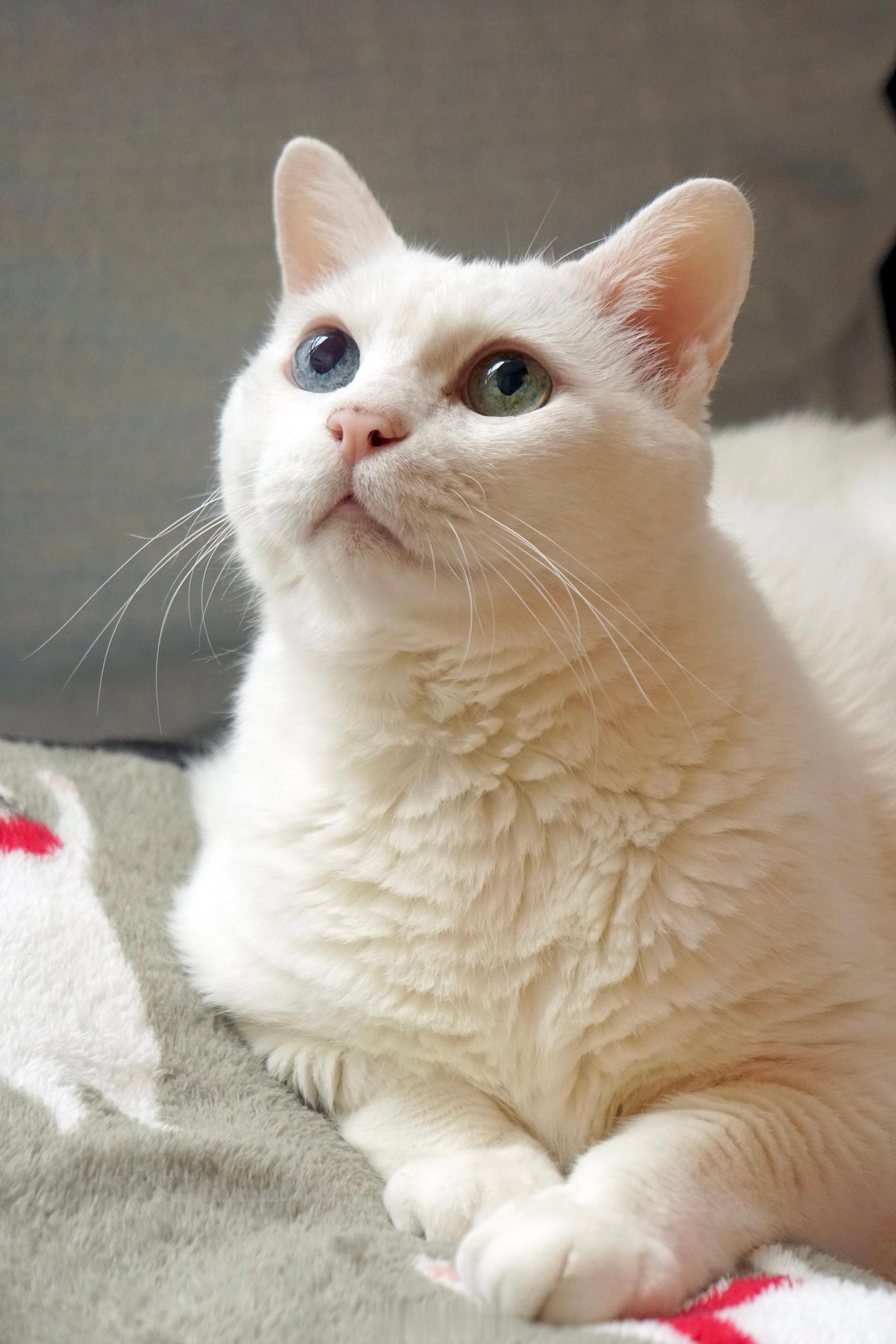 帥氣如奶昔，晚安⭐️ ​​​