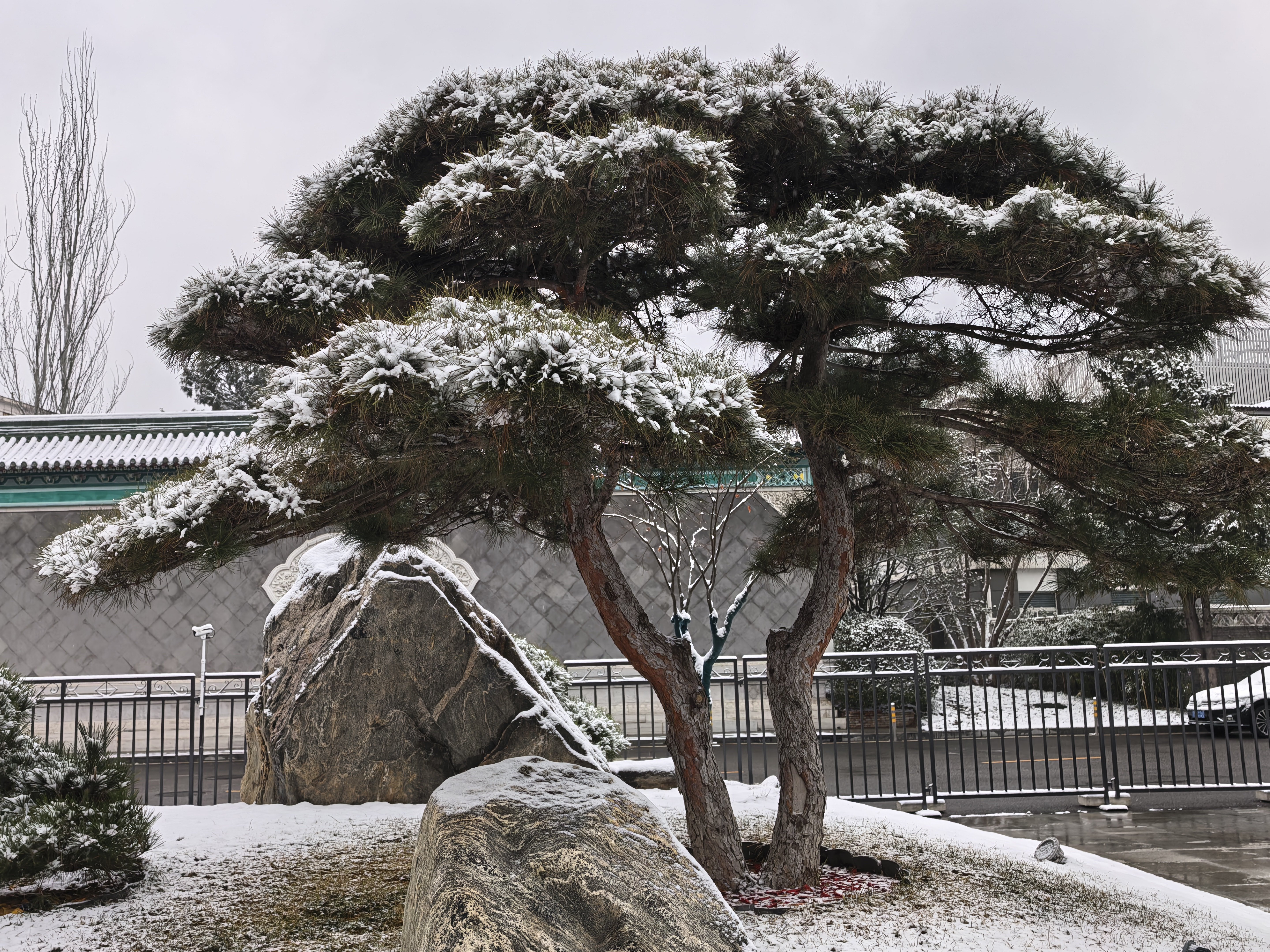 中东导弹乱飞，京城瑞雪成堆。遥看烽烟千里，且惜此处松巍。 