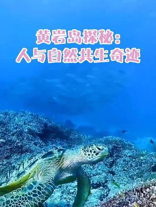 6月8日，菲律宾棉兰老岛发生7.9级强烈地震，对菲律宾棉兰老岛破坏是灾难性的。记