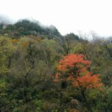 蓝天呆说说娱乐