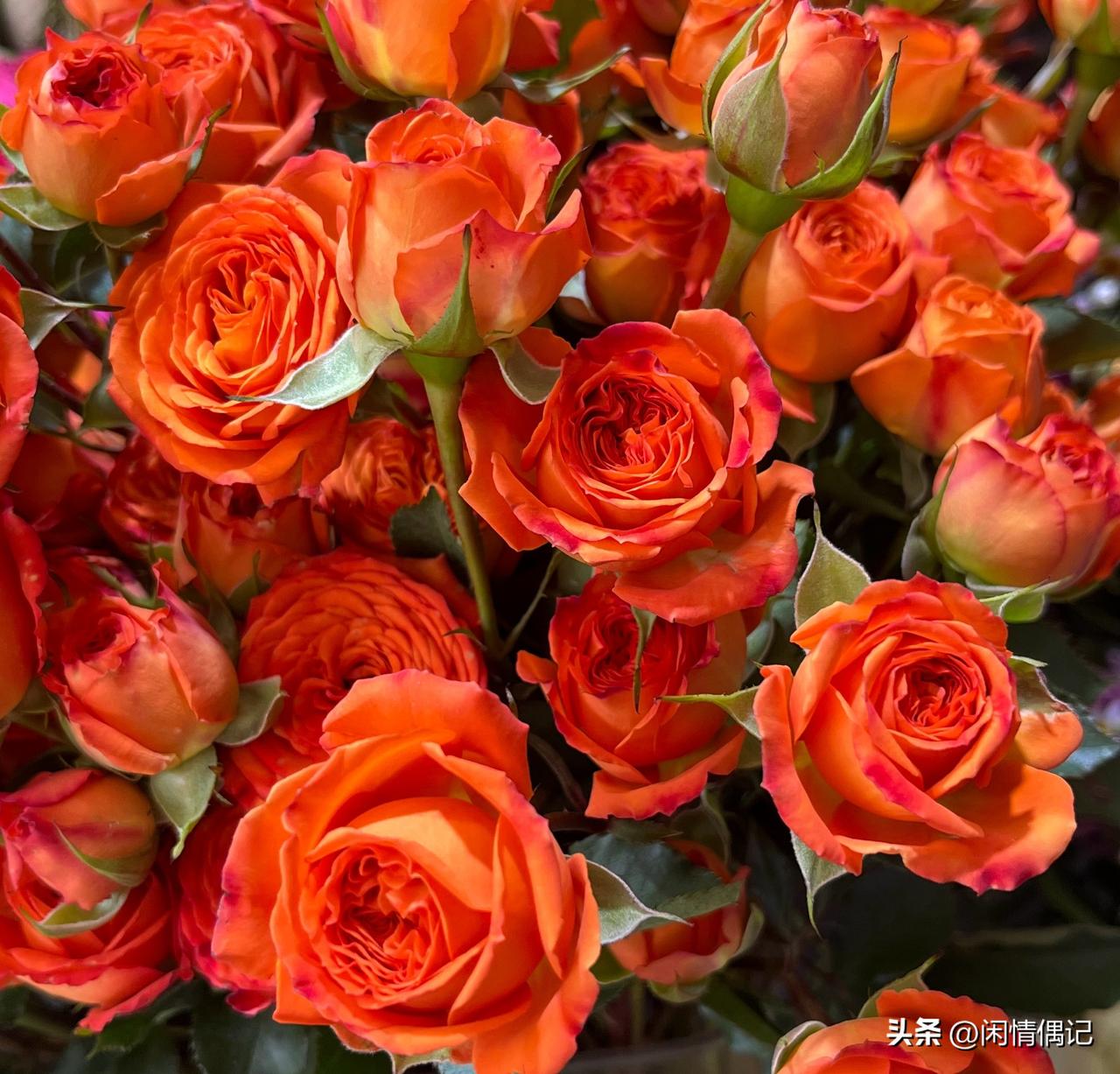 1.人脉是“吸引”来的，不是“求”来的

别总想着去“混圈子”，给大佬递烟、陪笑