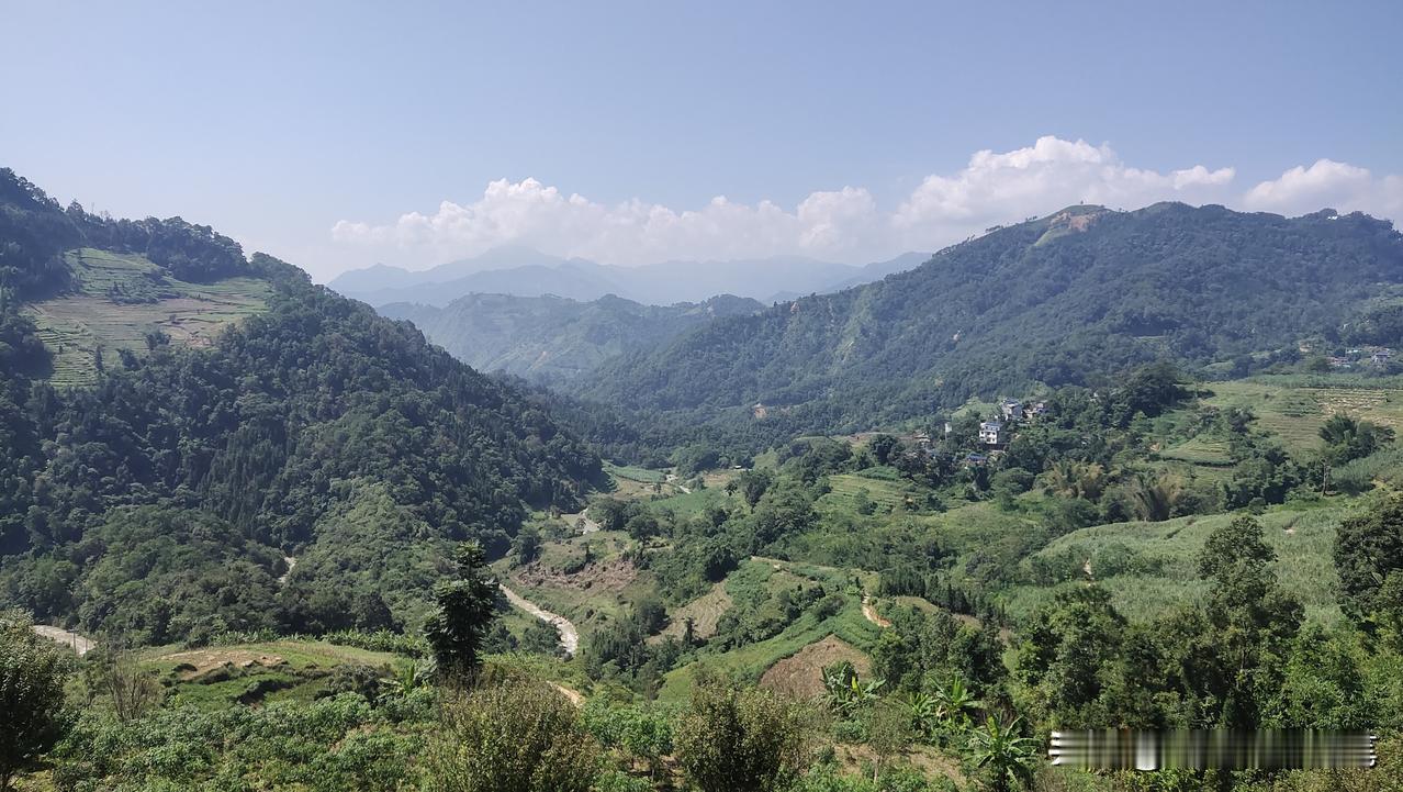 天下兴，农民苦，天下乱，农民更苦！
我们老家，前些年很多人在政府号召下都种上了沃