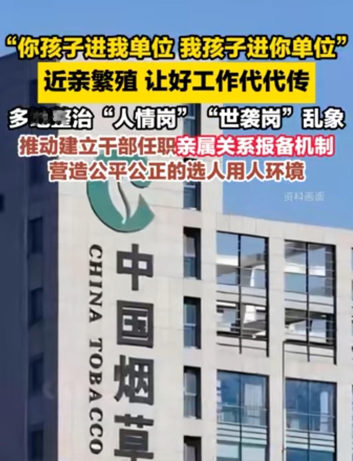 “你孩子进我单位，我孩子进你单位。”
哈哈哈，@豫视频昨晚发的这个小视频，有点儿