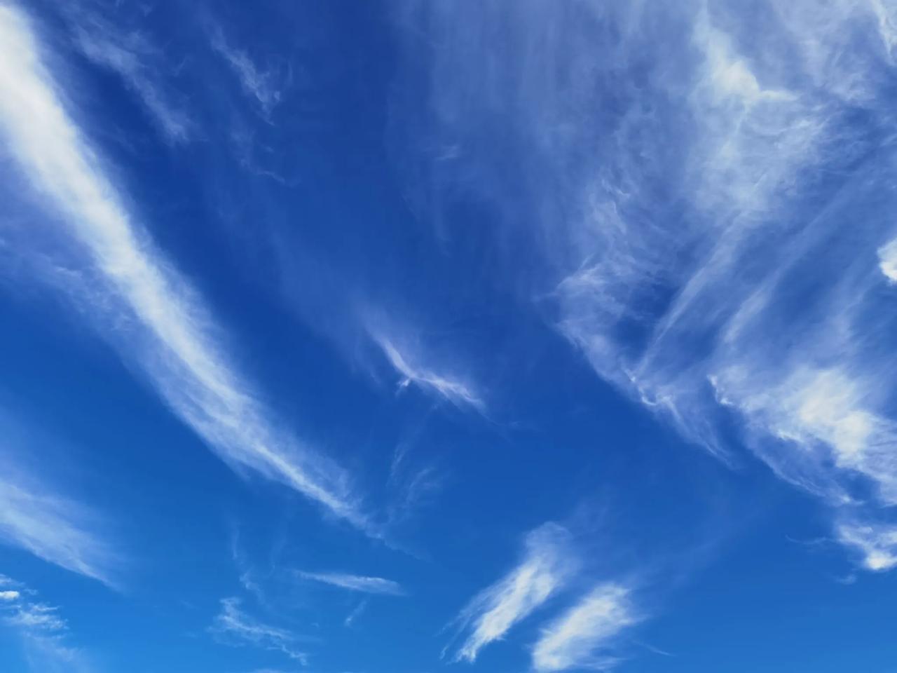 轻纱飘逸