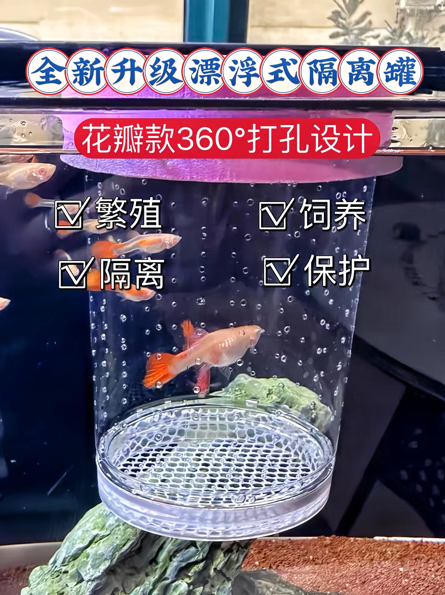 保护幼鱼：能将待产的母孔雀鱼隔离，使其在相对独立空间产仔，避免母鱼吞食...