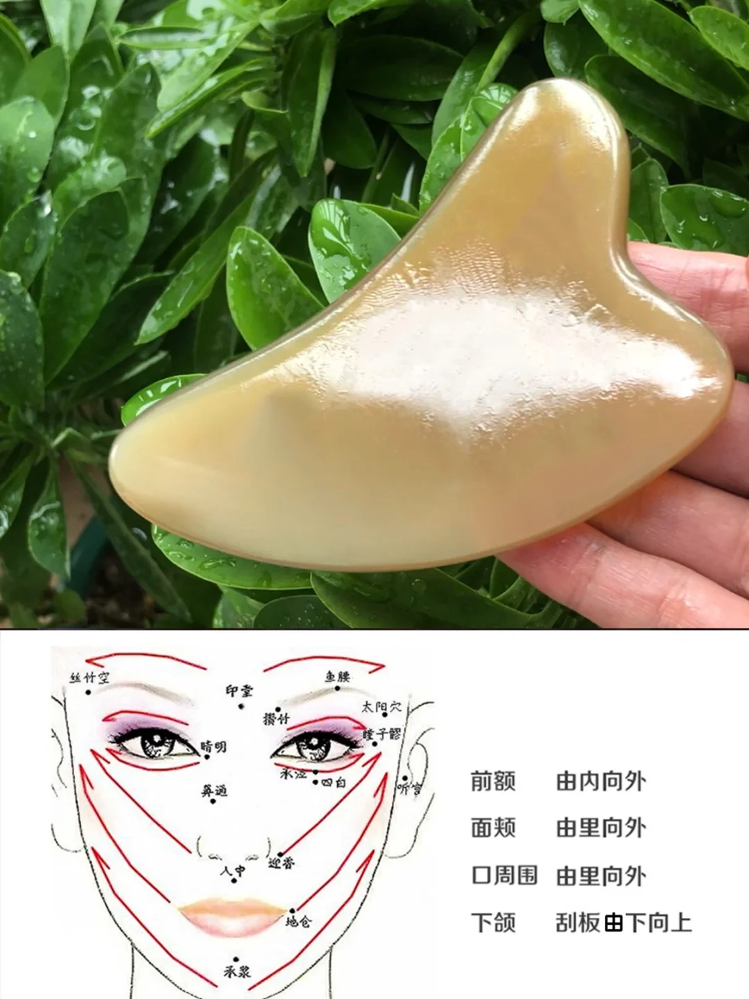刮痧板为什么用牛角的？不老仙妻刮痧护肤法