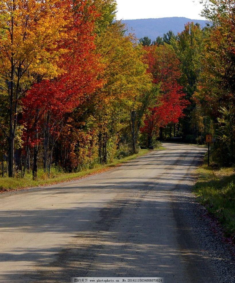 生活无处不在，美景也无处不有。我们只要用心去体味，用眼去观察，就会明白，生活并没