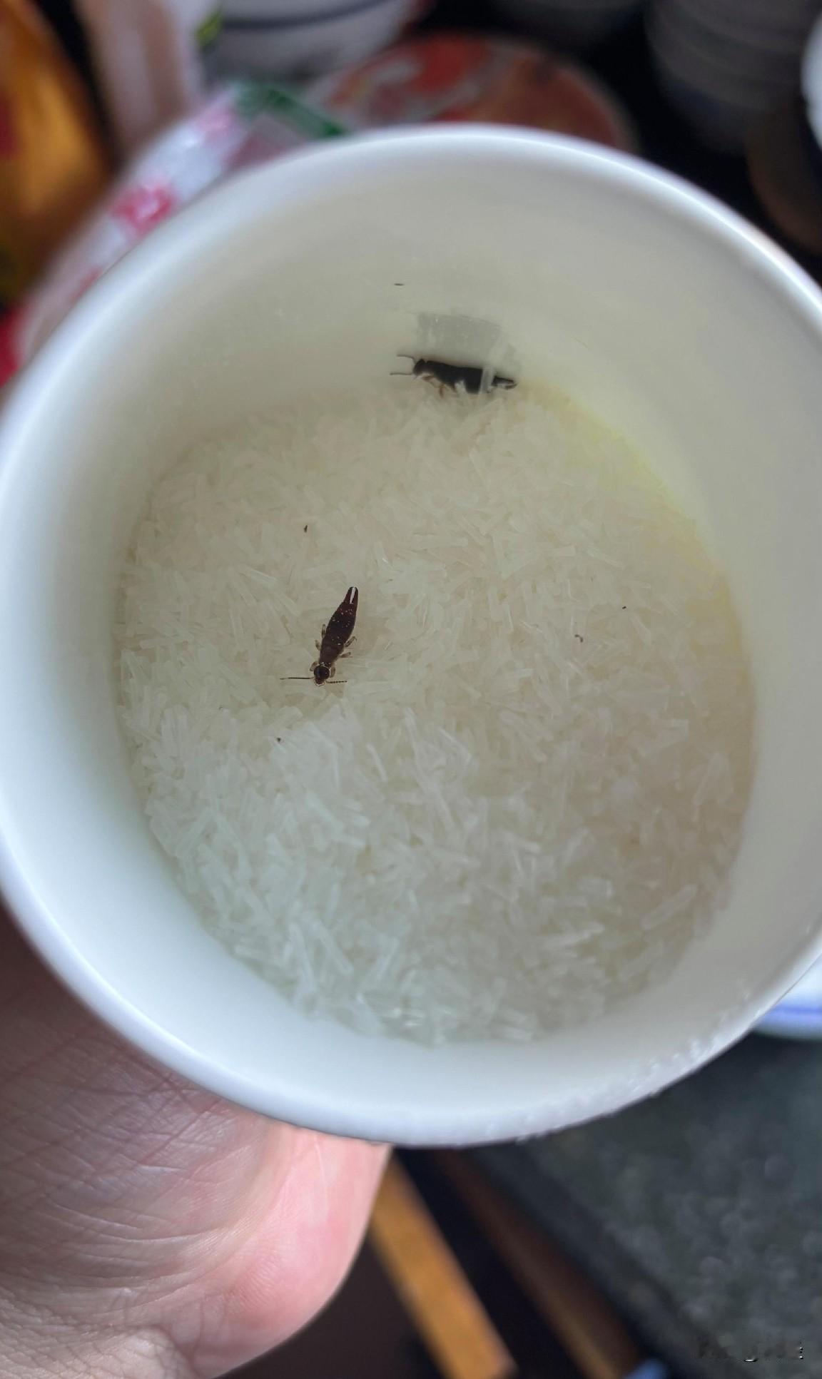 请问下这个是小强吗
味精袋子里都是这些东西
这味精还能吃不
