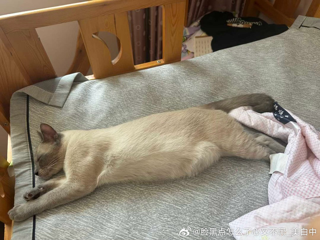 晚安逼罗