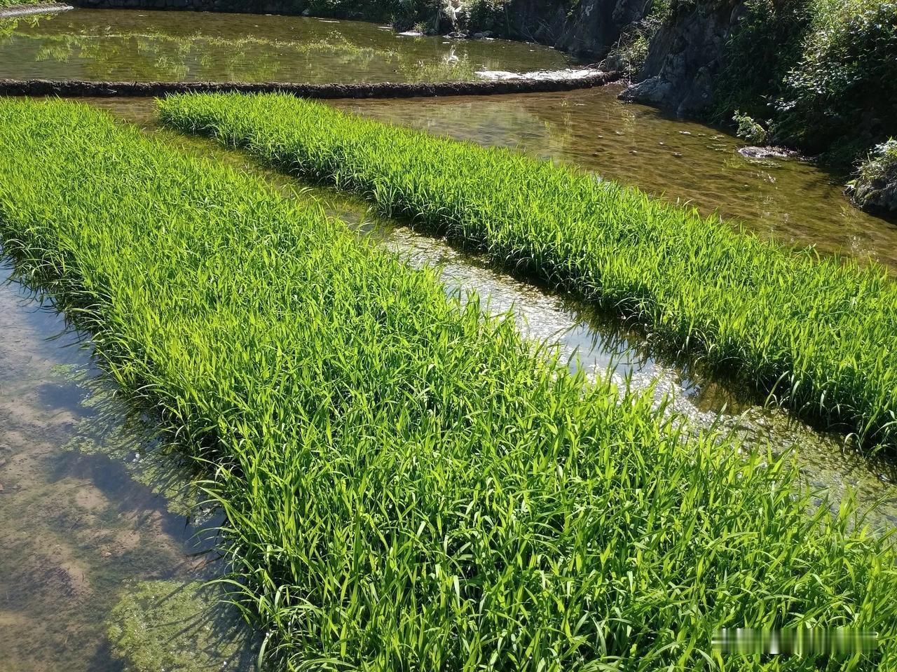 随着经济快速发展，贵州也进入快速通道，受到全世界嘱目和关注。
曾几何时，贵州在人