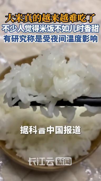 谁也没想到，每天端上餐桌、养活几十亿人的这碗米饭，正在悄悄变味。

最近两年，很