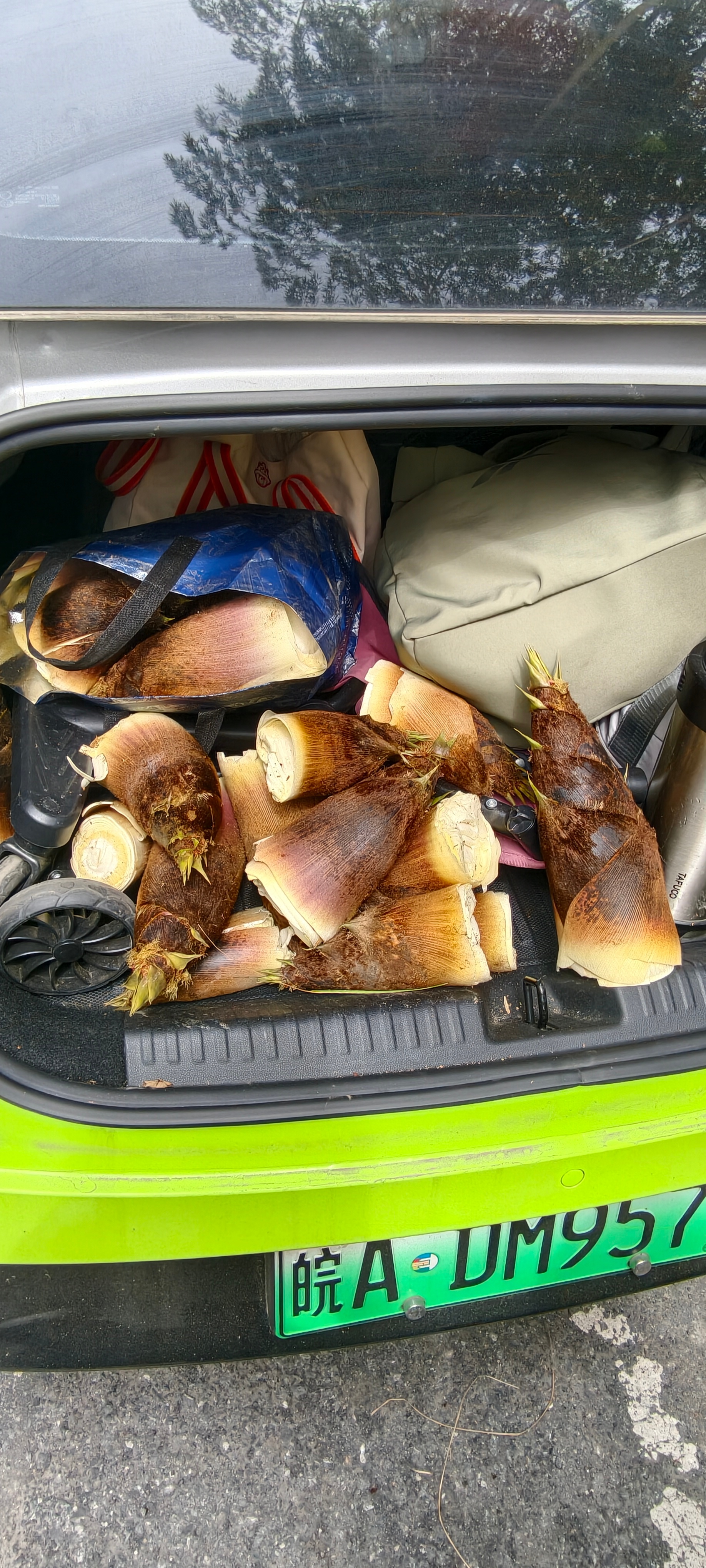 没白来没白来小众宝藏旅行地我的旅行日记新能源汽车 湖州·大场坪