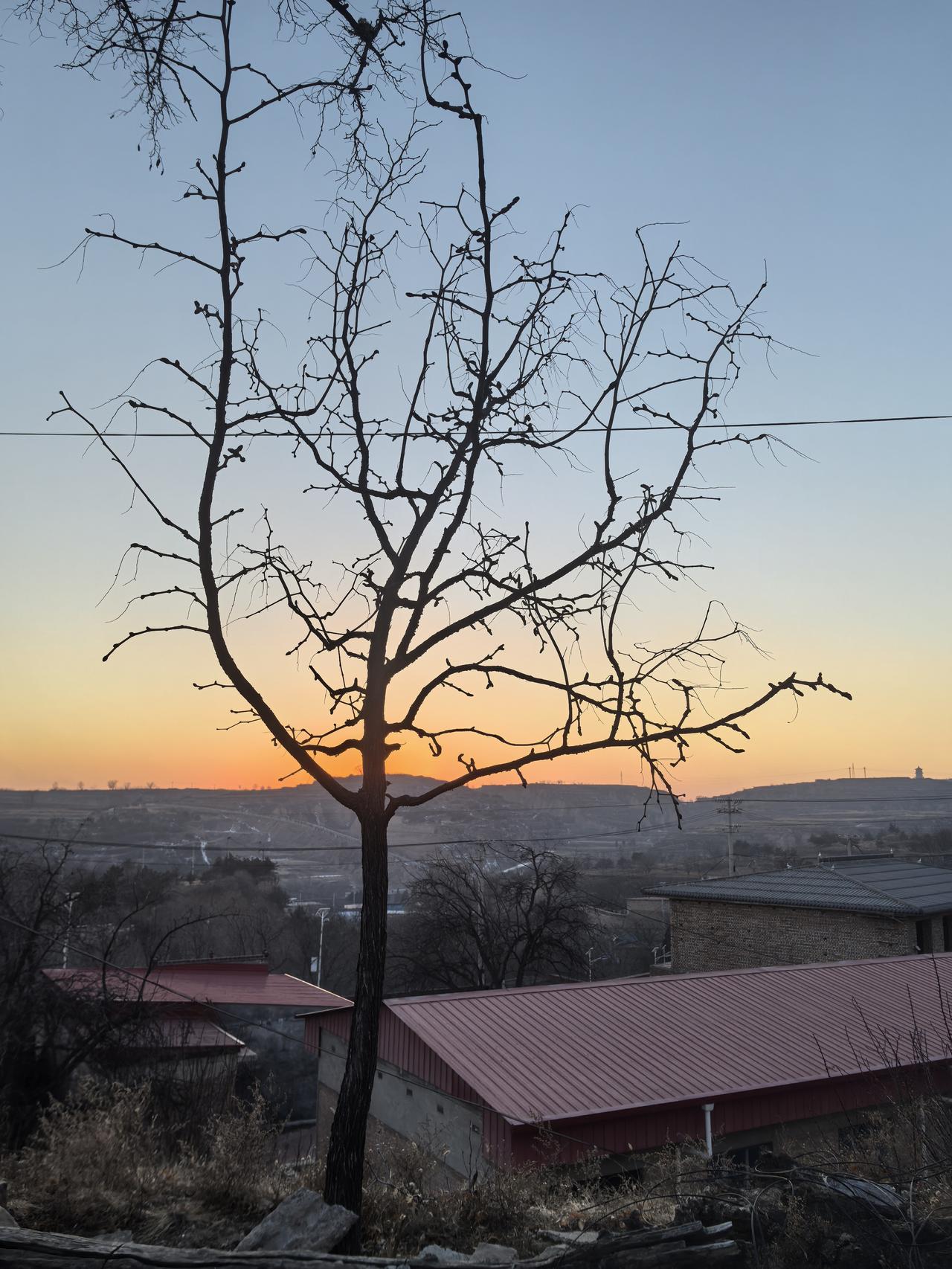 分享一下你随手拍下的照片
