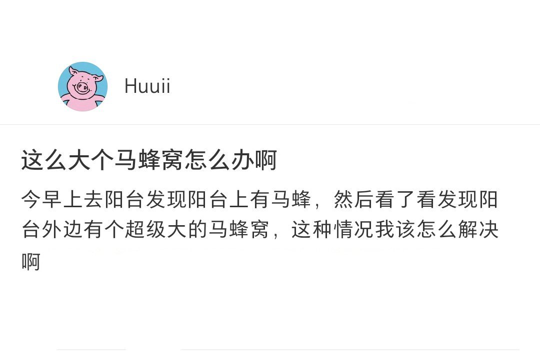 第一次见到这么大的马蜂窝……逐渐分不清这是马蜂的家还是人的家[哆啦A梦害怕] ​
