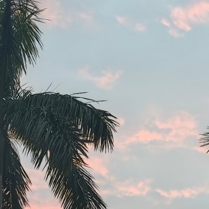 1600善良是一束美丽的玫瑰，当你赠送他人时， 也为你自己留下了满室的芬芳；善良