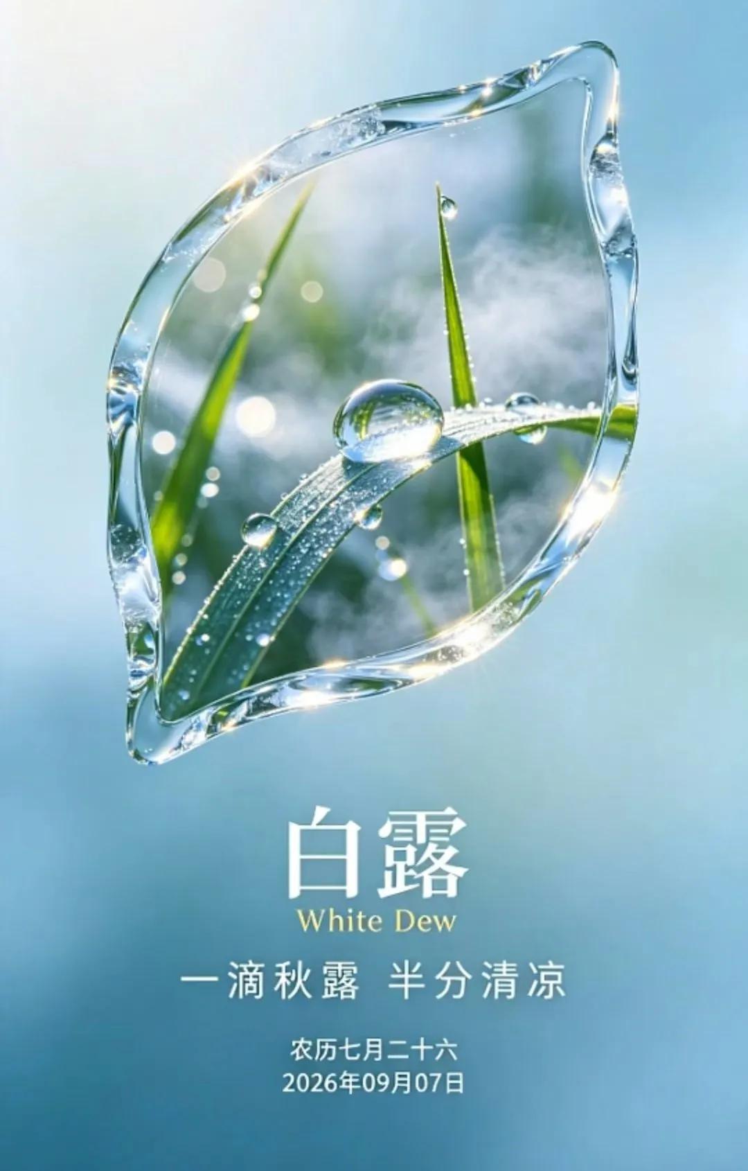 今日白露、望秋：

白露凝珠秋渐凉
高梁玉米稻初黄
十八日近中秋月
万里田铺锦绣